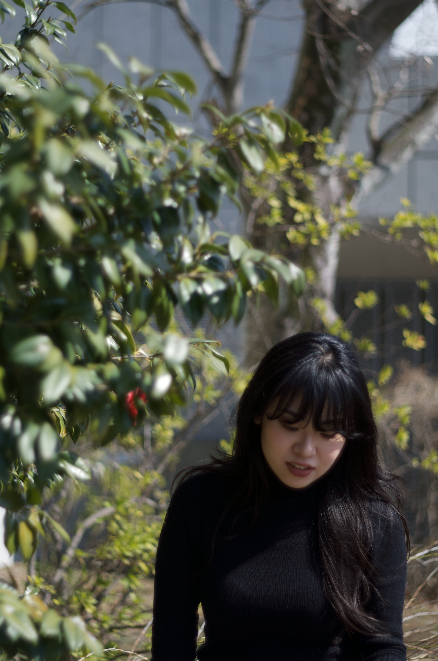 Seina Takaguchi portrait